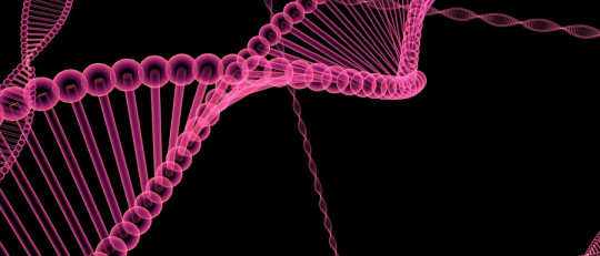 Enfermedades hereditarias