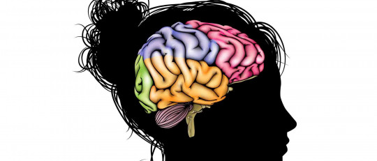 ¿Por qué la depresión hace el cerebro más pequeño?