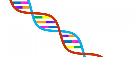 Determinismo genético