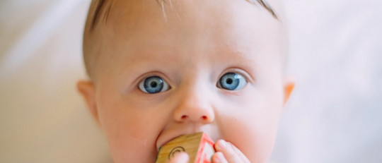 ¿Qué significa lo innato?