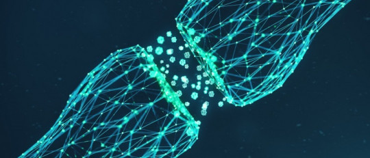 Neuronas Von Economo