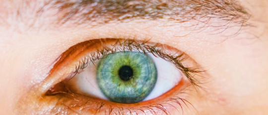 Las personas con las pupilas grandes tienden a ser más inteligentes