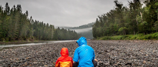 Qué pueden hacer los padres del agresor o de la víctima