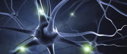 Endorfinas (neurotransmisores): funciones y características