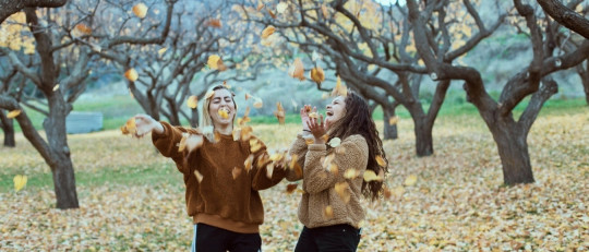 Frases con doble sentido