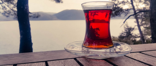 Las 12 mejores infusiones para relajarse