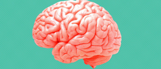 Diferencias entre la Psicología y la Neuropsicología