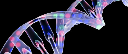 Genética y conducta: ¿los genes deciden cómo actuamos?