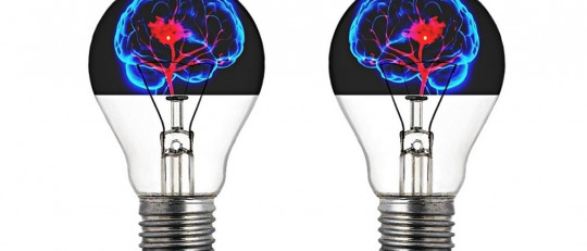 Cómo funciona el cerebro humano, en 8 claves