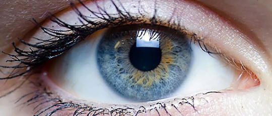 Movimientos sacádicos