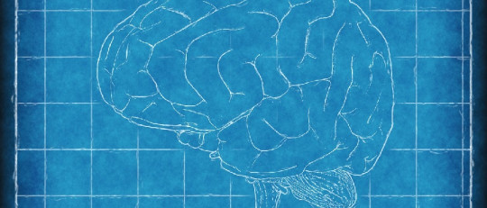 ¿Qué es la curva del olvido?