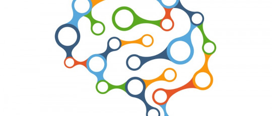 Cómo procesa la información el cerebro