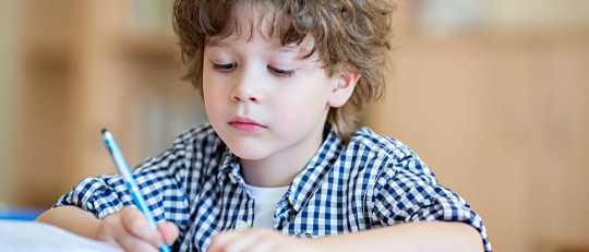 Modelo de los tres anillos de Renzulli