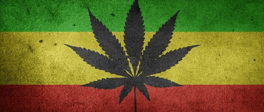 El cannabis aumenta un 40% el riesgo de brote psicótico