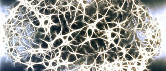 ¿Qué son los axones de las neuronas?