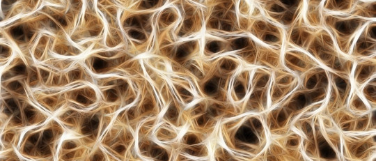 ¿Qué es la despolarización neuronal y cómo funciona?