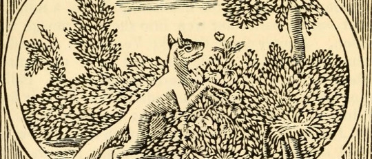 Fábulas cortas para niños