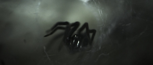 Diferencias entre la fobia y el miedo normal