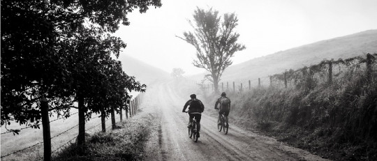 120 frases sobre la amistad que deberías leer