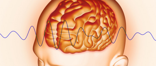 Tipos de ondas cerebrales: Delta, Theta, Alfa, Beta y Gamma