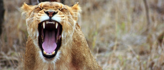 "¿Por qué estoy de mal humor?" Las 3 razones más frecuentes