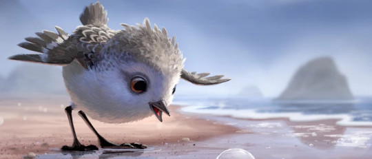 Piper: un entrañable corto sobre la capacidad de superación