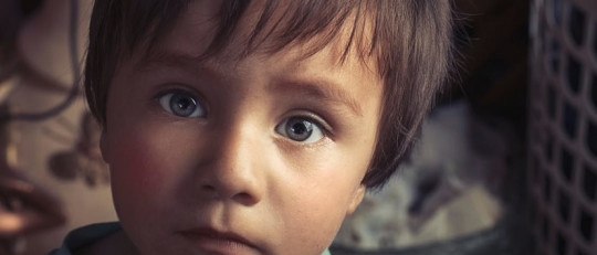 El alto coste de ser muy inteligentes