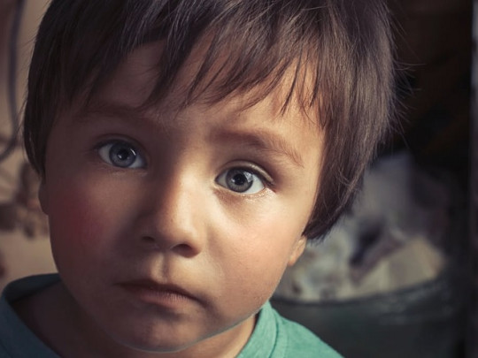 El alto coste de ser muy inteligentes