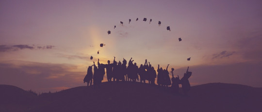 El problema de la carrera de Psicología: mucha teoría pero poca práctica