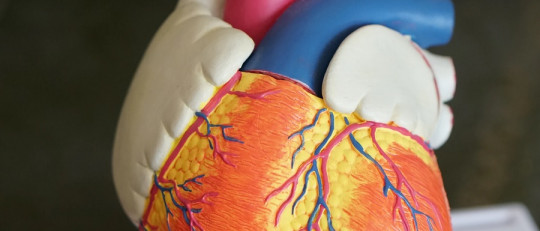 Cómo afecta el estrés al corazón