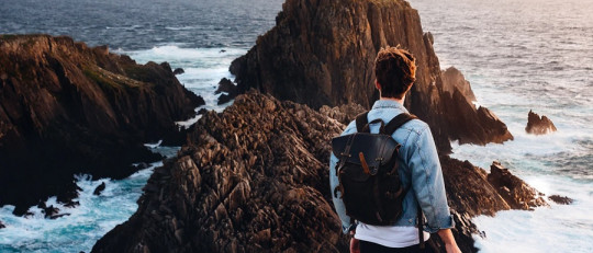 Teoría mediacional de Osgood