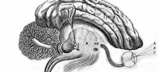 ¿Qué es la Psicología Fisiológica?