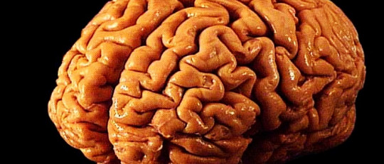 La psicoterapia produce cambios en el cerebro