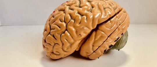 Terapia metacognitiva