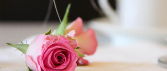 12 sorprendentes regalos para tu pareja (especial San Valentín)