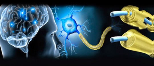 Esclerosis múltiple: tipos, síntomas y posibles causas