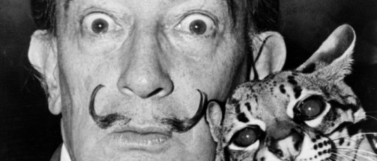 Teoría asociacionista de la creatividad de Mednick (y otros autores)