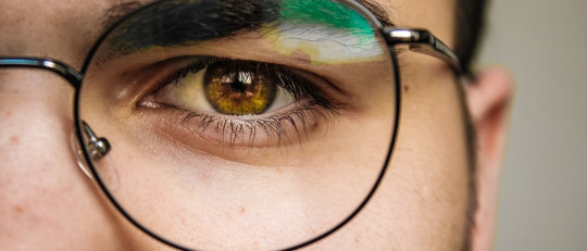 Curiosidades sobre la inteligencia