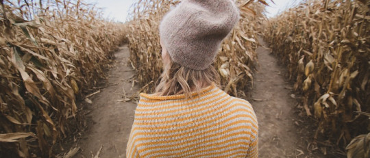 Hipótesis del marcador somático