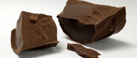 ¿Cuáles son los 14 alimentos más nutritivos que existen?