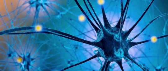 Serotonina: 6 efectos de esta hormona en tu cuerpo y mente