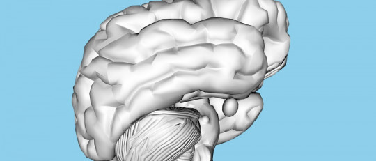 Teorías biológicas de la ansiedad