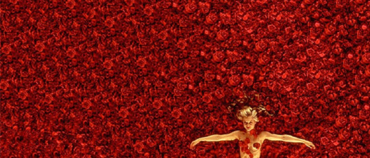 'American Beauty' y la psicología del sueño americano
