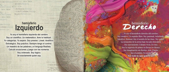 Hemisferios cerebrales: mitos y realidades