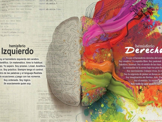 Hemisferios cerebrales: mitos y realidades