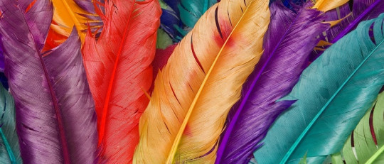 Sinestesia, personas con capacidad para ver sonidos y saborear colores