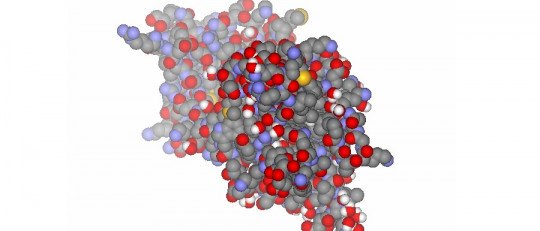 Factor neurotrófico derivado del cerebro