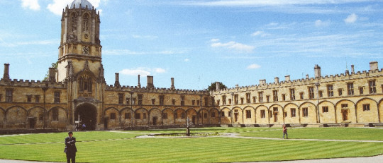 Los 10 mejores Posgrados en Psicología