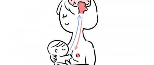 La necesidad de apego: la oxitocina y el sistema de conexión social