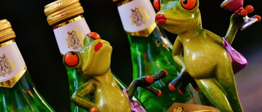 Beber alcohol durante la adolescencia modifica el cerebro